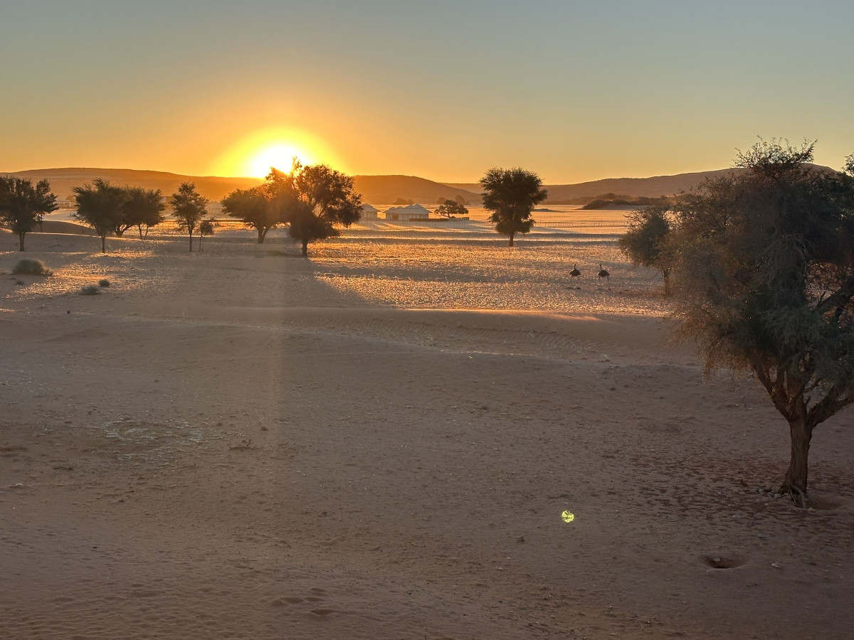 Sunset in the Namibian desert during the Camlog incentive program