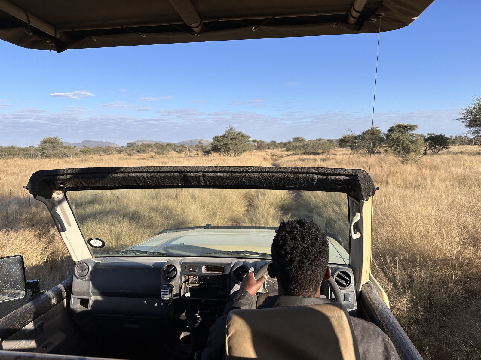 Safari adventure in Namibia as a highlight of the Camlog incentive trip