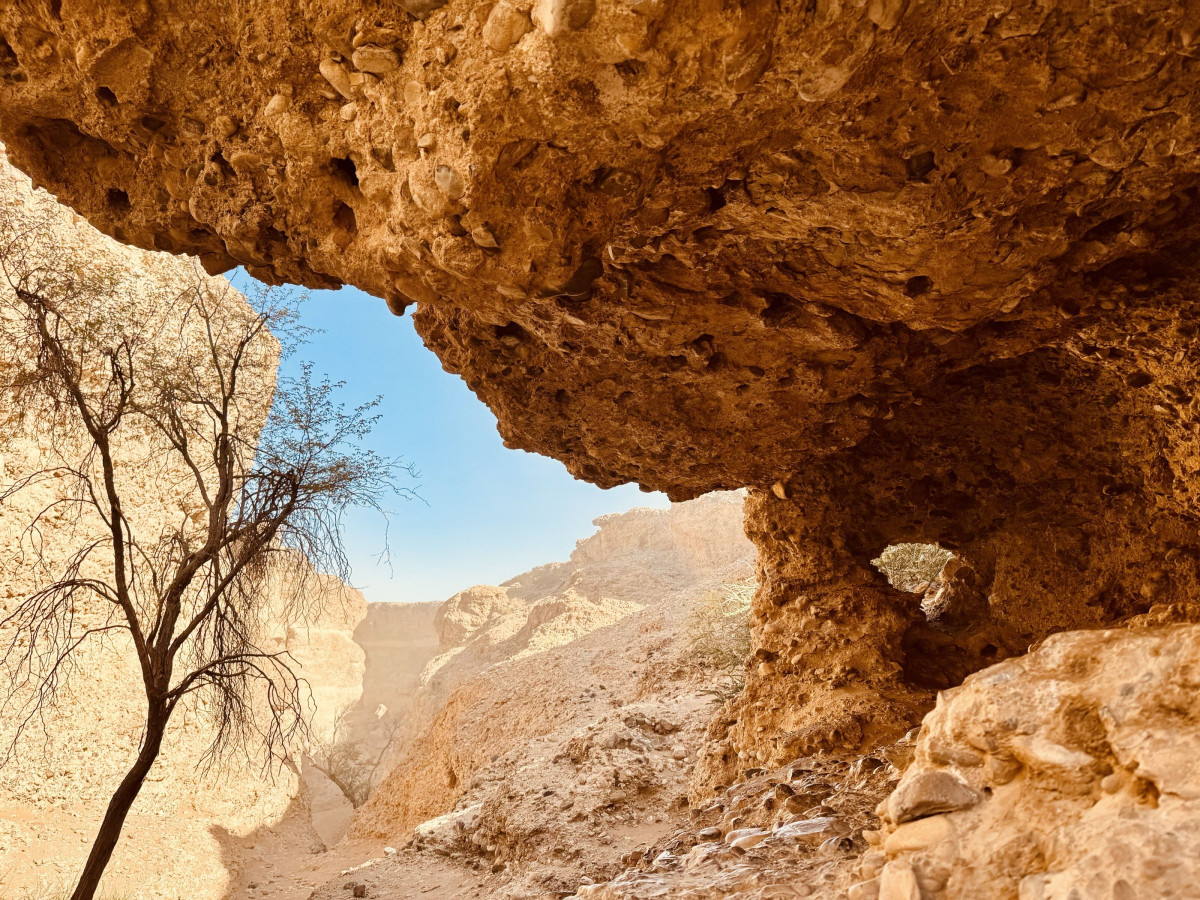 Rock formation and desert landscape explored during the Camlog incentive journey
