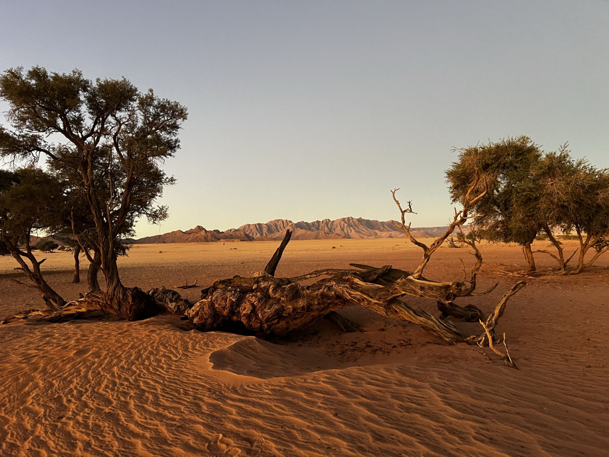 Desert landscape in Namibia as part of the Camlog incentive experience