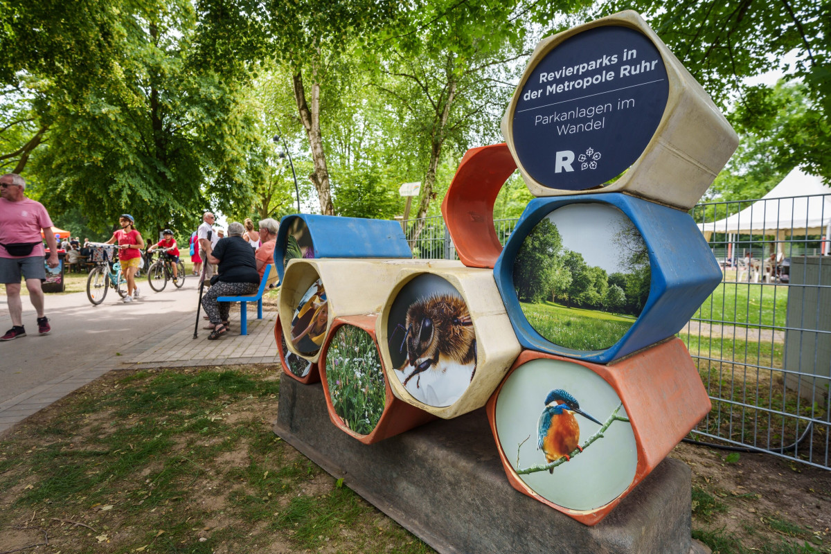 Play and adventure feature in the park invites children and families to explore.